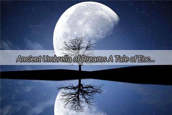 Ancient Umbrella of Dreams A Tale of Enchantment and Hidden Messages